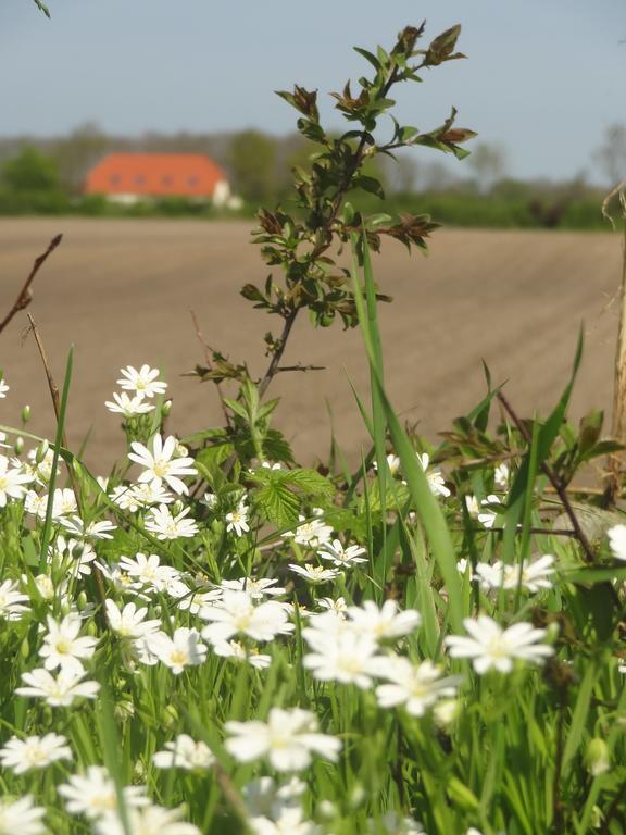 Land & Meer Hasselberg  Exterior foto